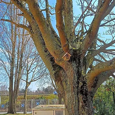 Hotel Ibis Budget Massy